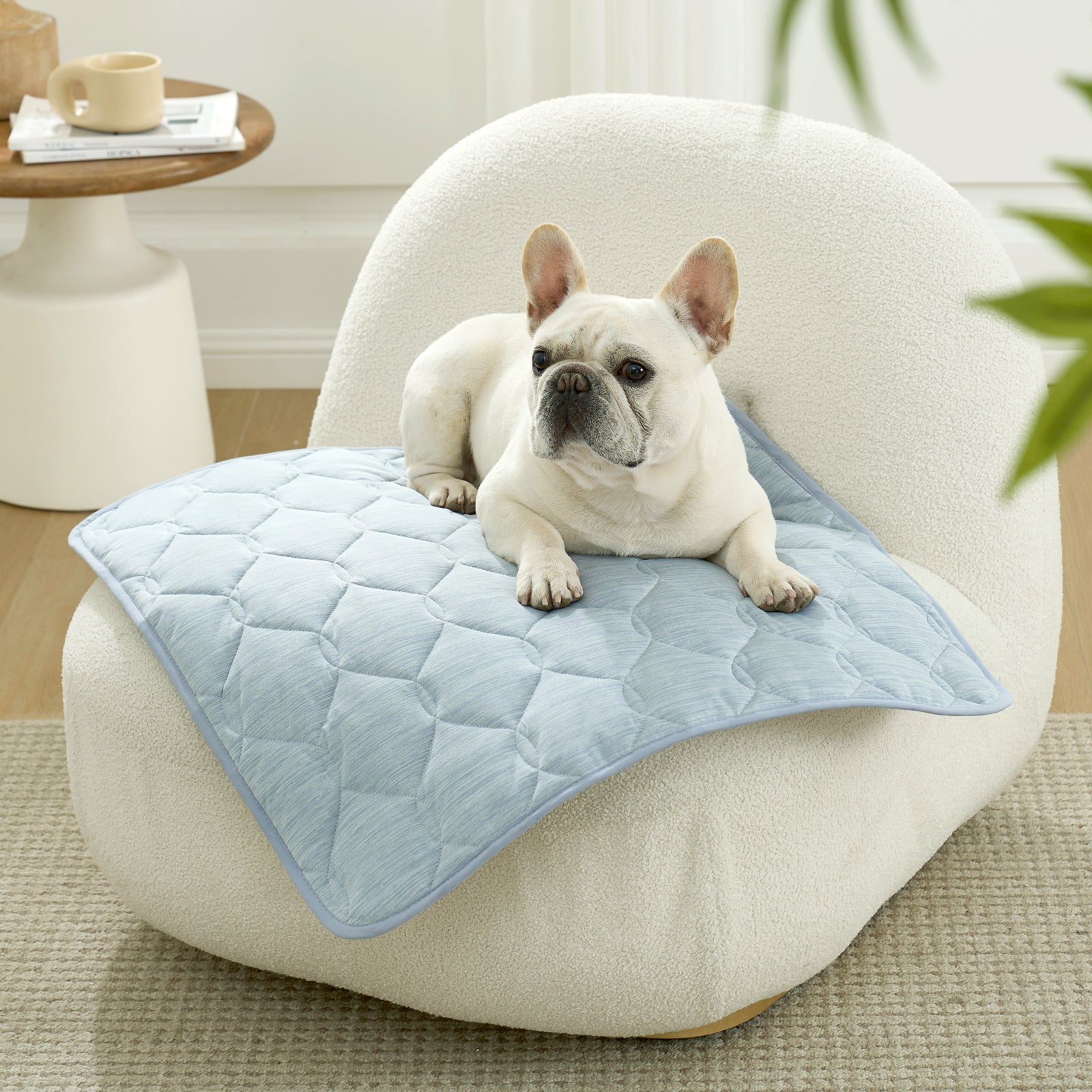 Housse de canapé pour animaux Qmax Cooling, protecteur étanche pour une détente sans stress