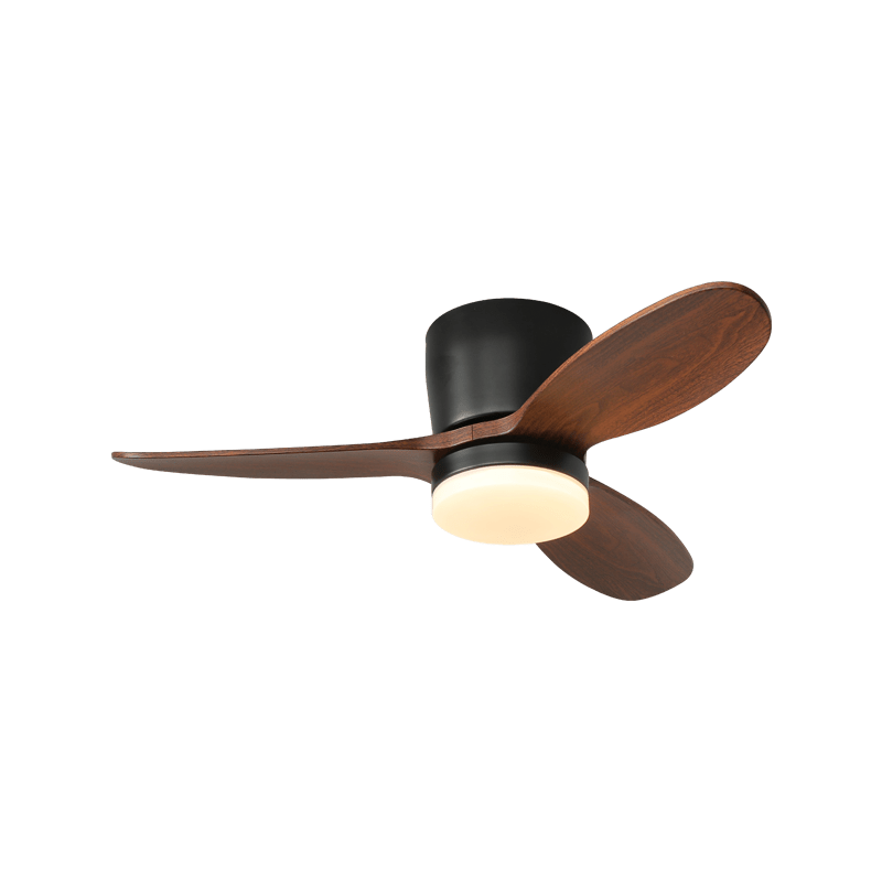 Wing Arc Fan Light | Ormexis