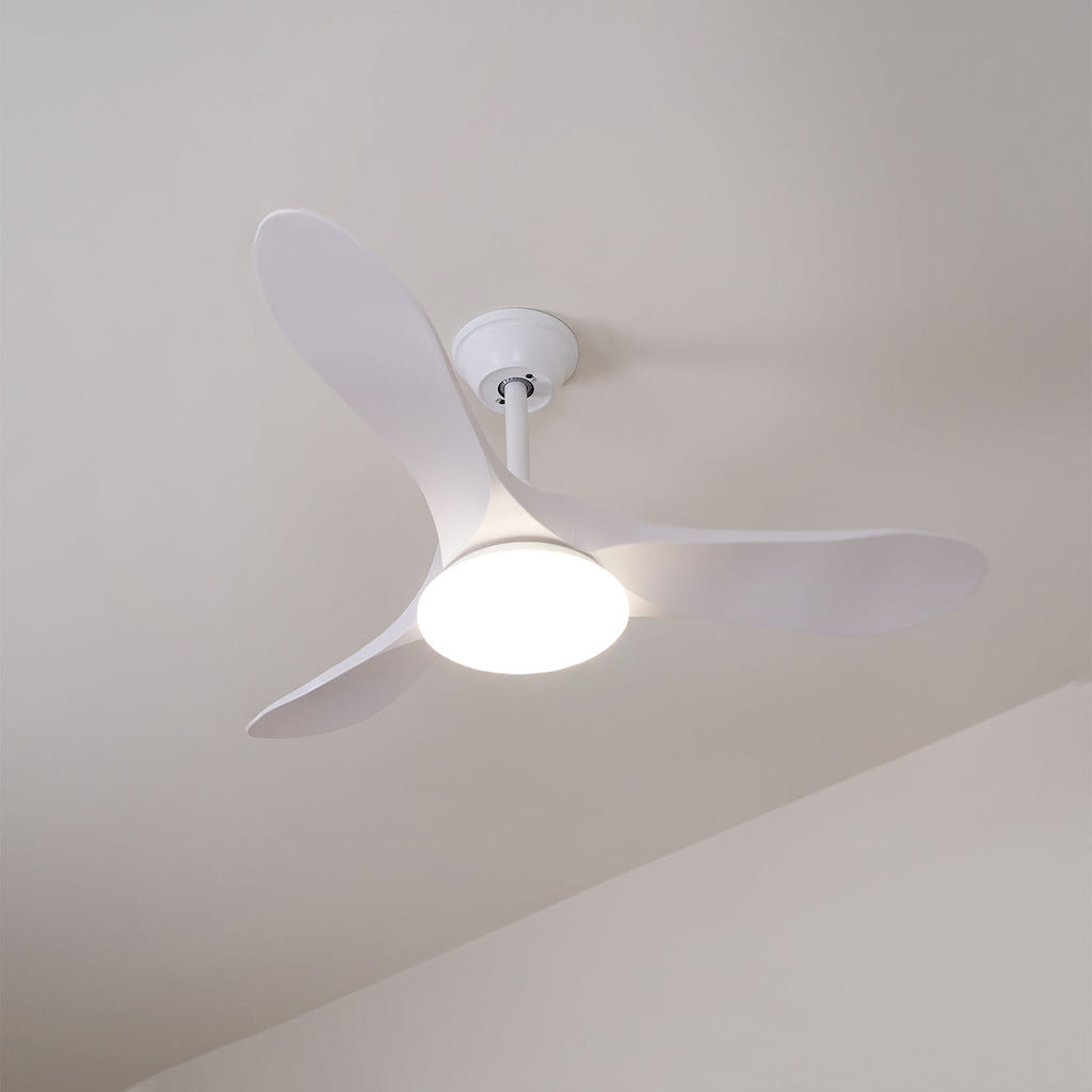 Tapered Span Fan Light | Ormexis