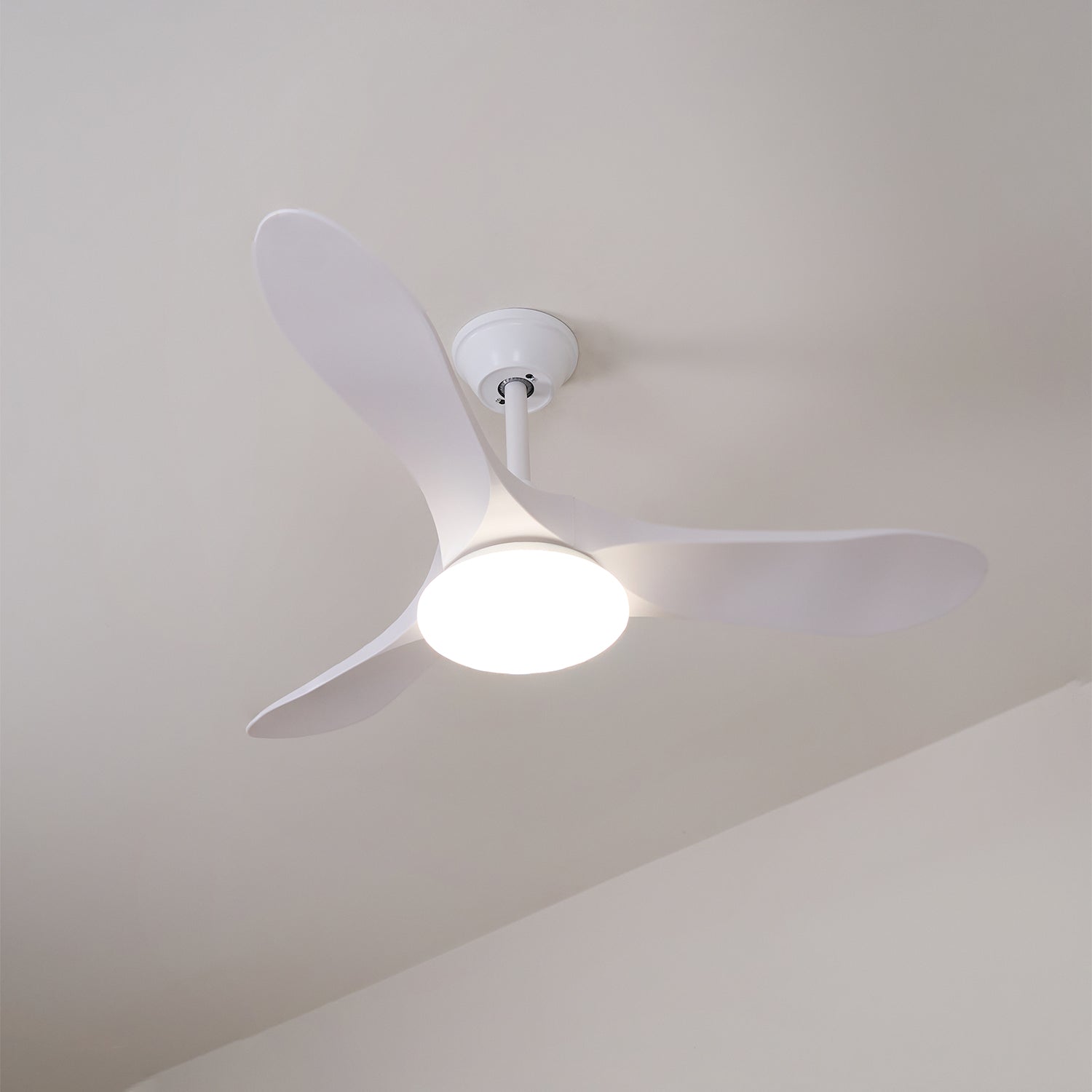 Tapered Span Fan Light | Ormexis