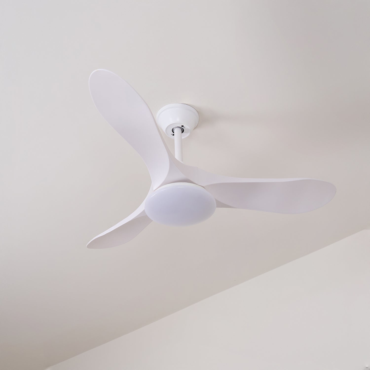 Tapered Span Fan Light | Ormexis