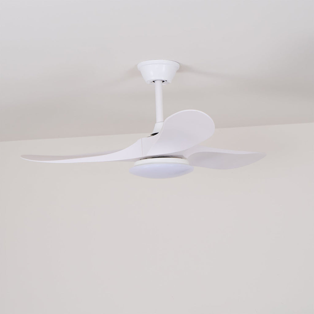 Tapered Span Fan Light | Ormexis