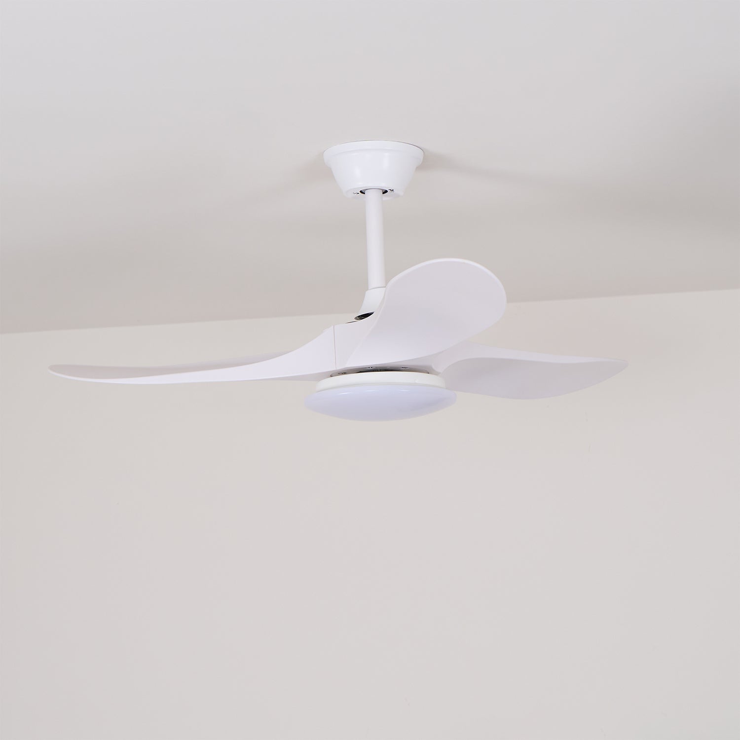 Tapered Span Fan Light | Ormexis