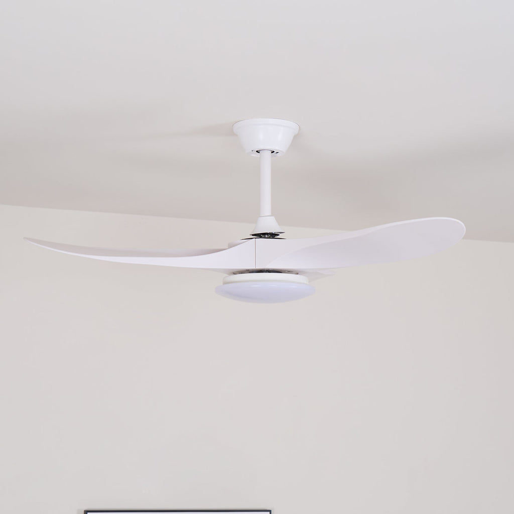 Tapered Span Fan Light | Ormexis