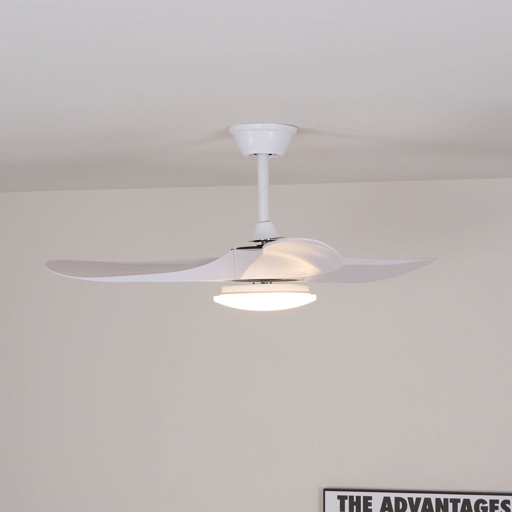 Tapered Span Fan Light | Ormexis