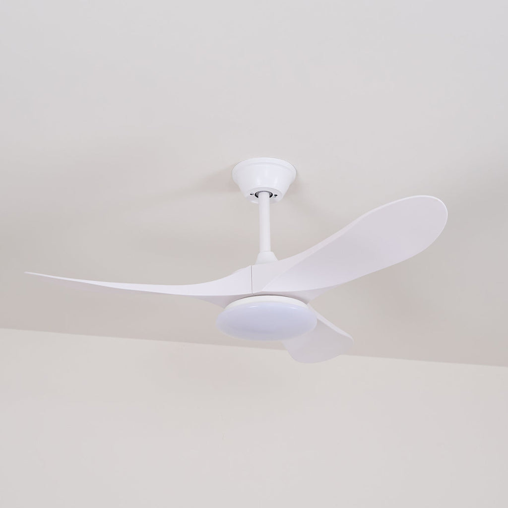 Tapered Span Fan Light | Ormexis
