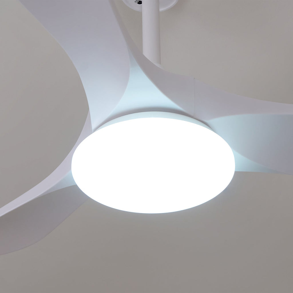 Tapered Span Fan Light | Ormexis