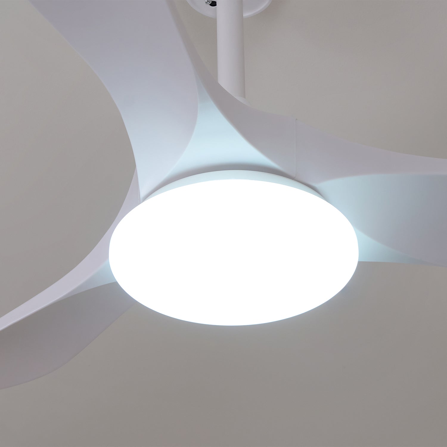 Tapered Span Fan Light | Ormexis