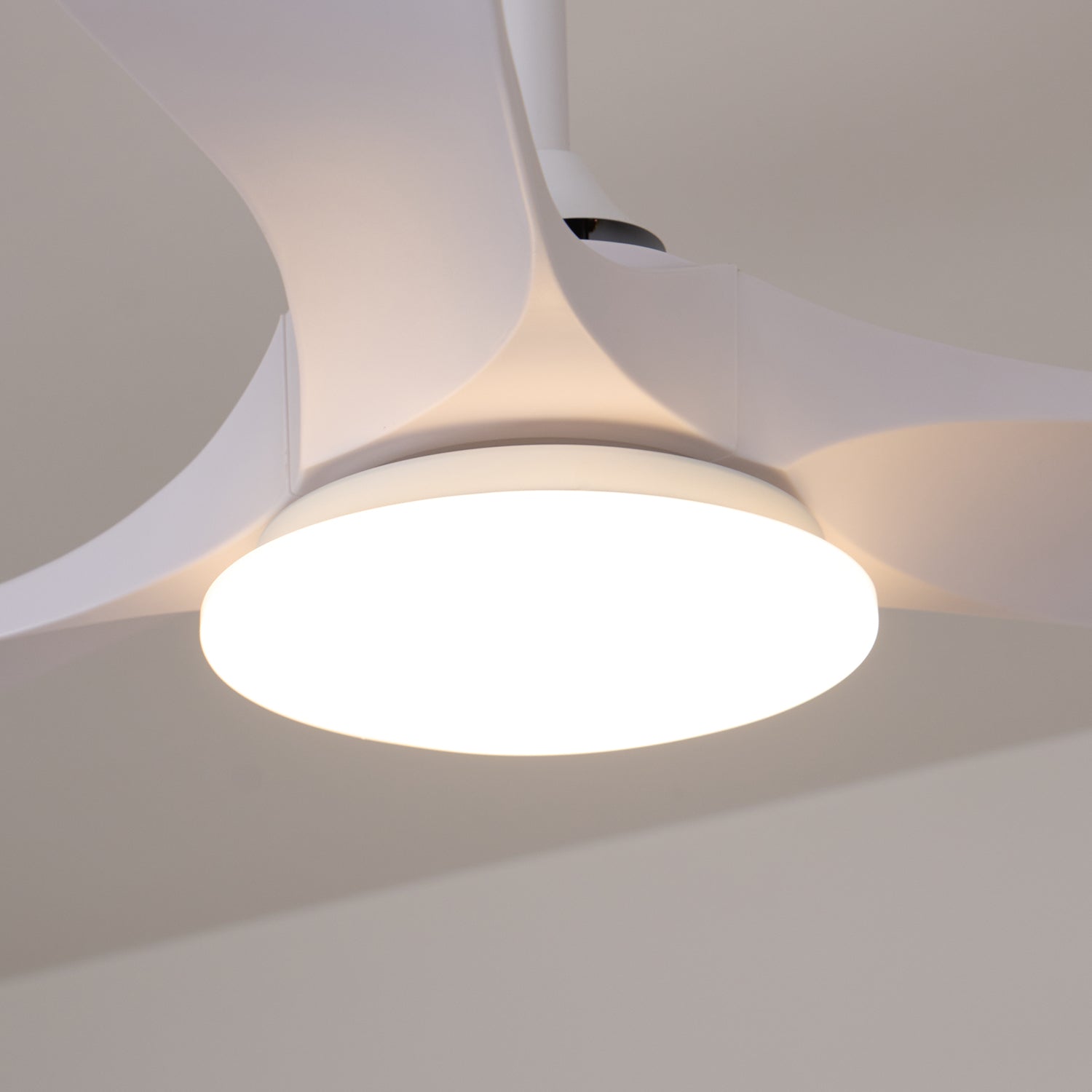 Tapered Span Fan Light | Ormexis