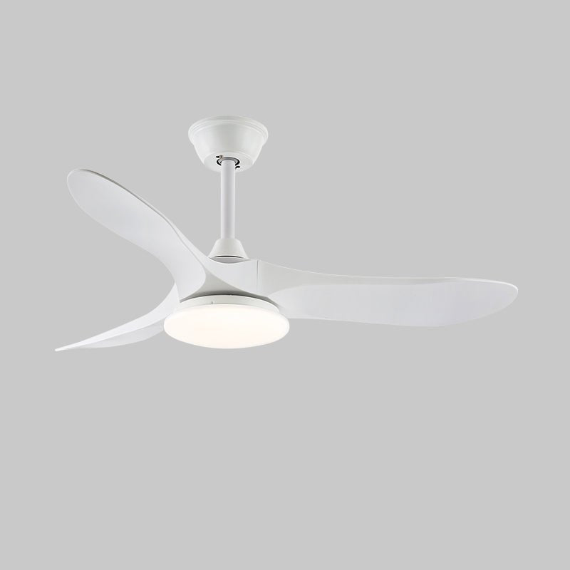 Tapered Span Fan Light | Ormexis