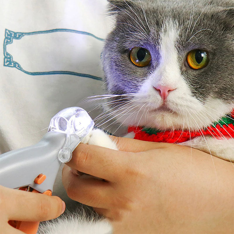 Maverick Quick Sensor Nail Clipper For Dogs, Ideal For Home Grooming