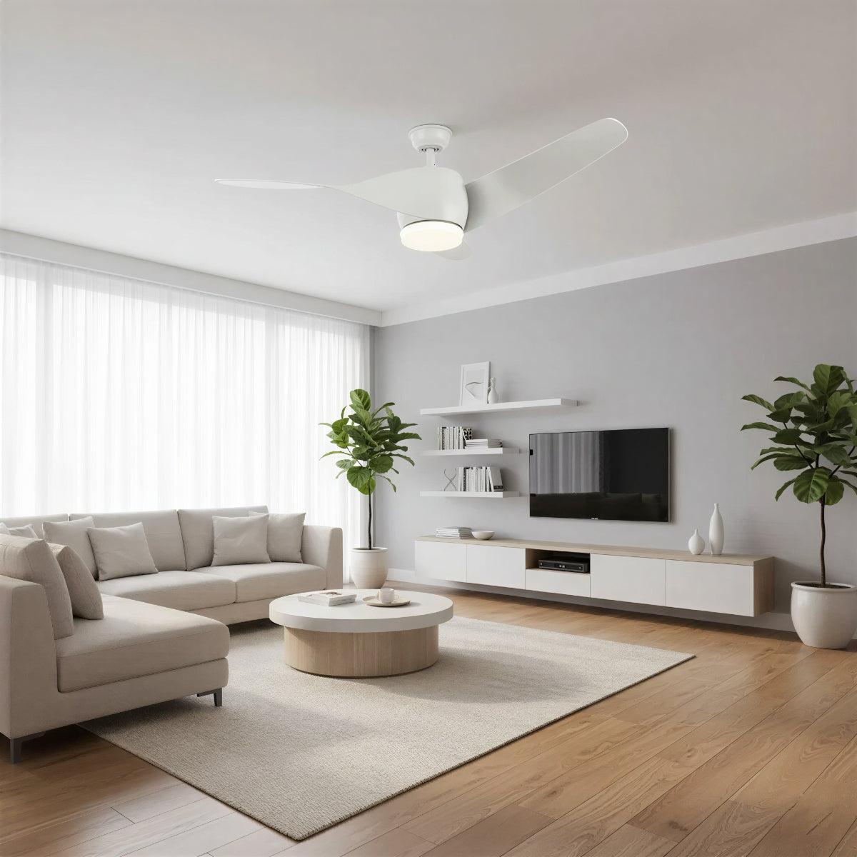 Modern Wooden Curved Ceiling Fan With Light | Ormexis