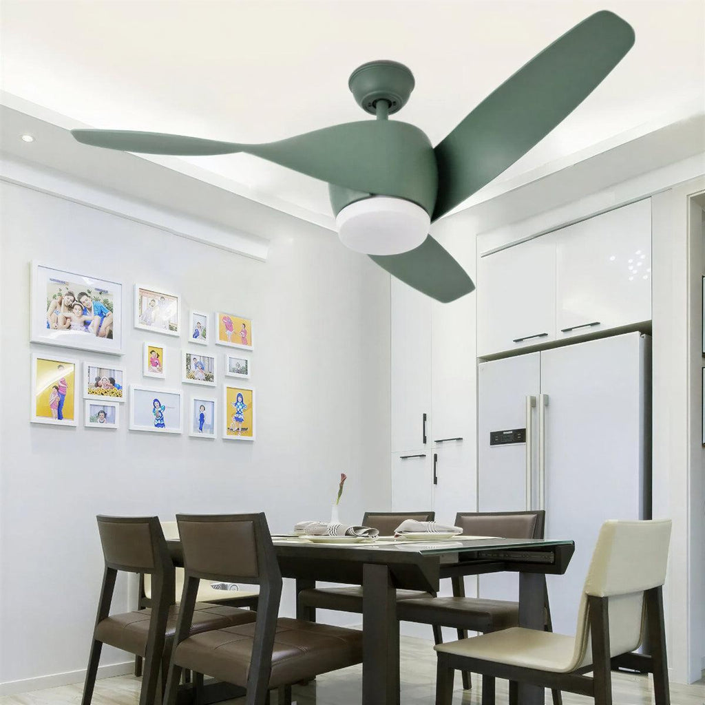 Modern Wooden Curved Ceiling Fan With Light | Ormexis