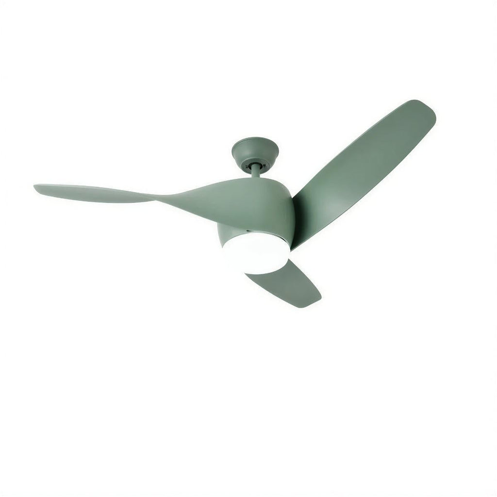 Modern Wooden Curved Ceiling Fan With Light | Ormexis