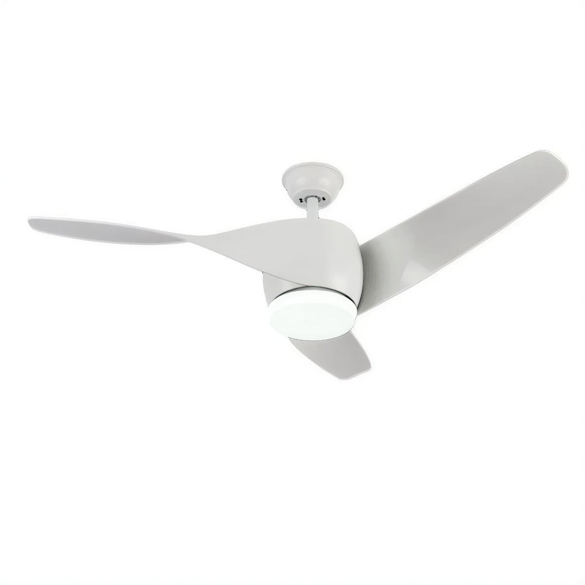 Modern Wooden Curved Ceiling Fan With Light | Ormexis