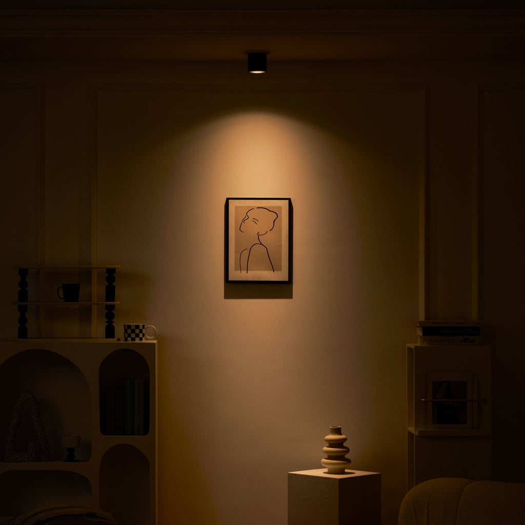 Vireon Modern Spot Ceiling Light | Ormexis