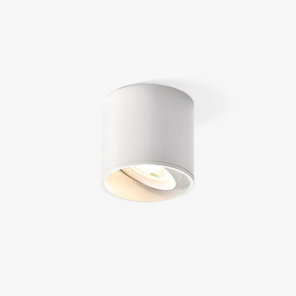 Vireon Modern Spot Ceiling Light | Ormexis