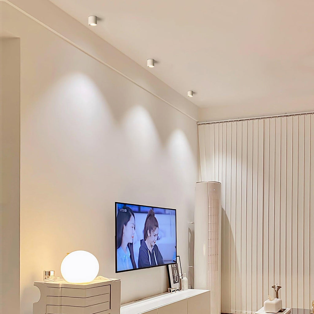 Studio Ceiling Light | Ormexis