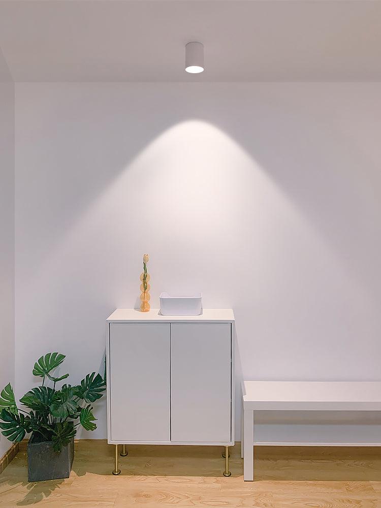 Vireon Modern Spot Ceiling Light | Ormexis