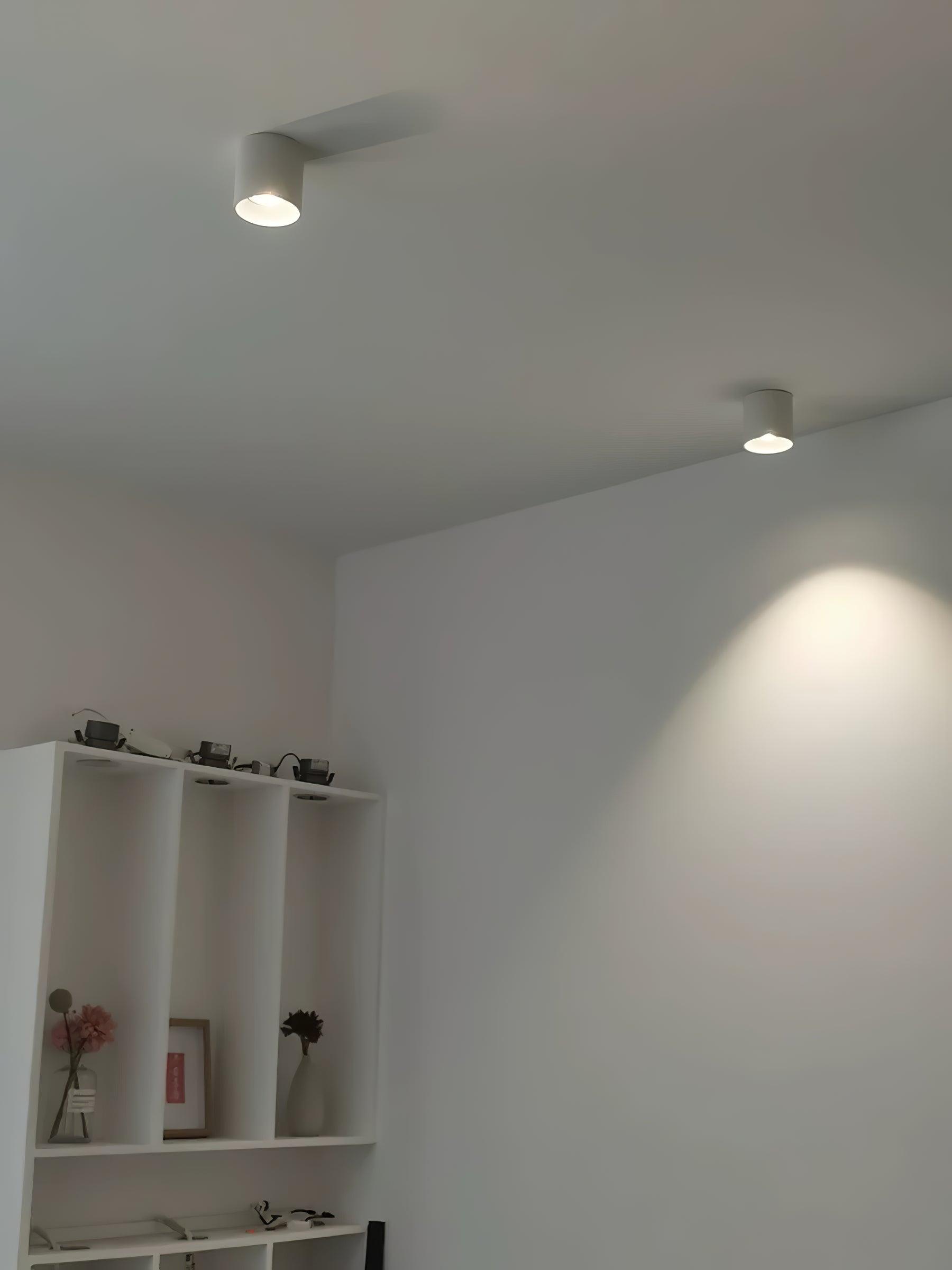 Vireon Modern Spot Ceiling Light | Ormexis