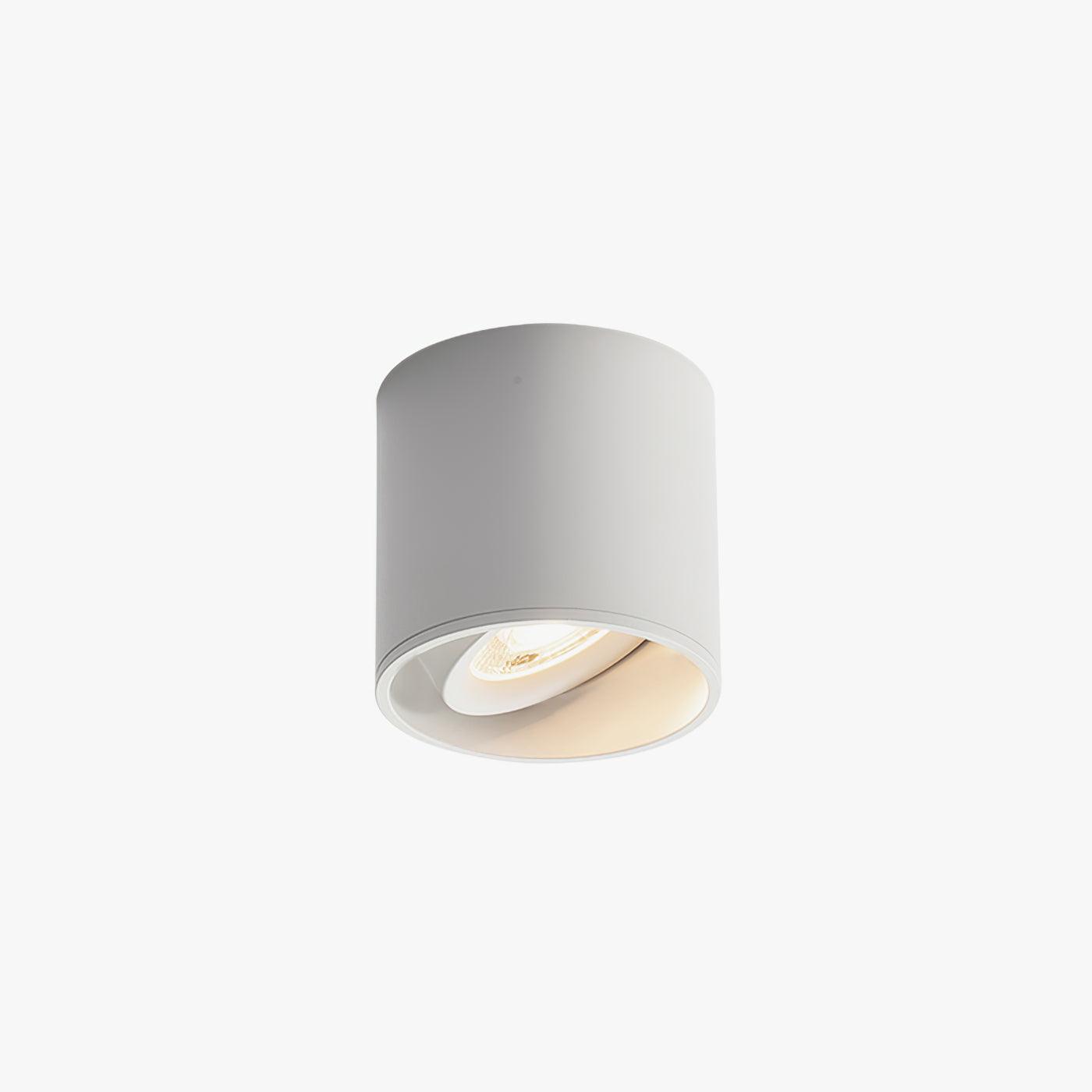 Vireon Modern Spot Ceiling Light | Ormexis