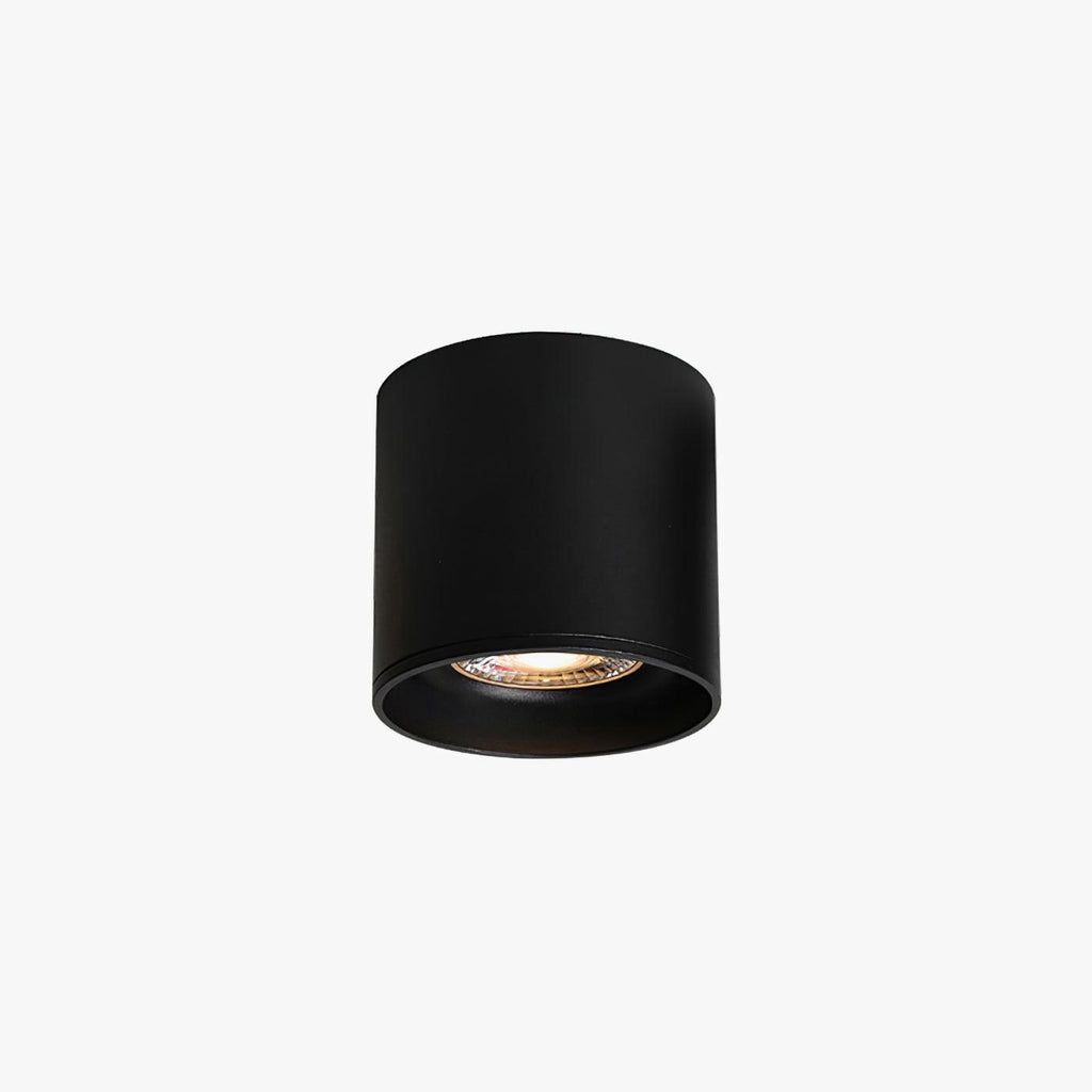 Vireon Modern Spot Ceiling Light | Ormexis