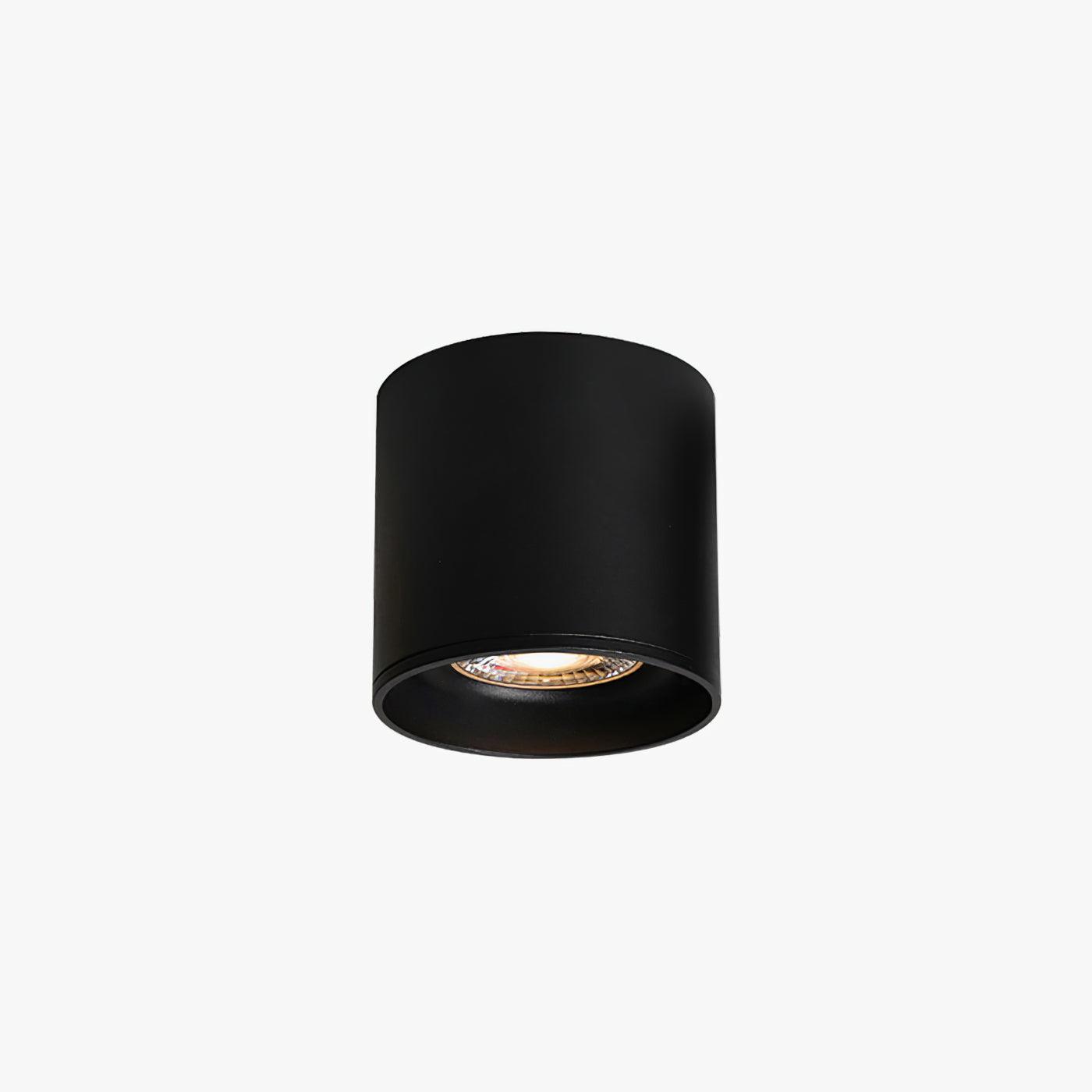 Vireon Modern Spot Ceiling Light | Ormexis