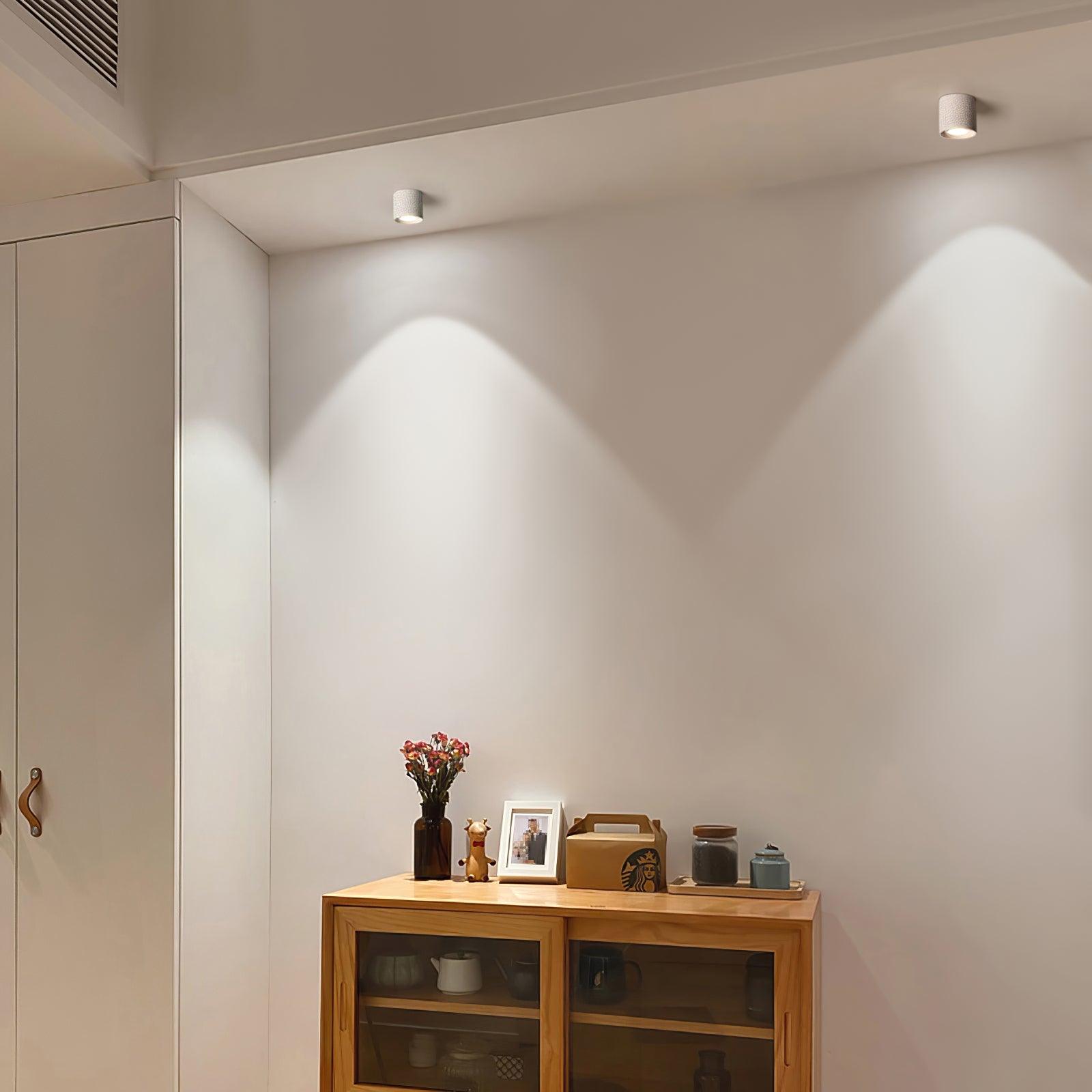 Vireon Modern Spot Ceiling Light | Ormexis