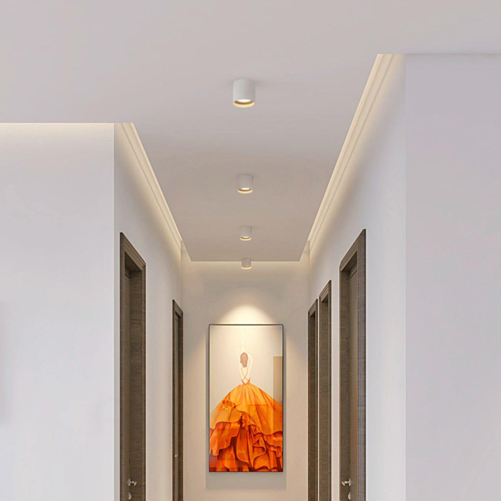 Studio Ceiling Light | Ormexis