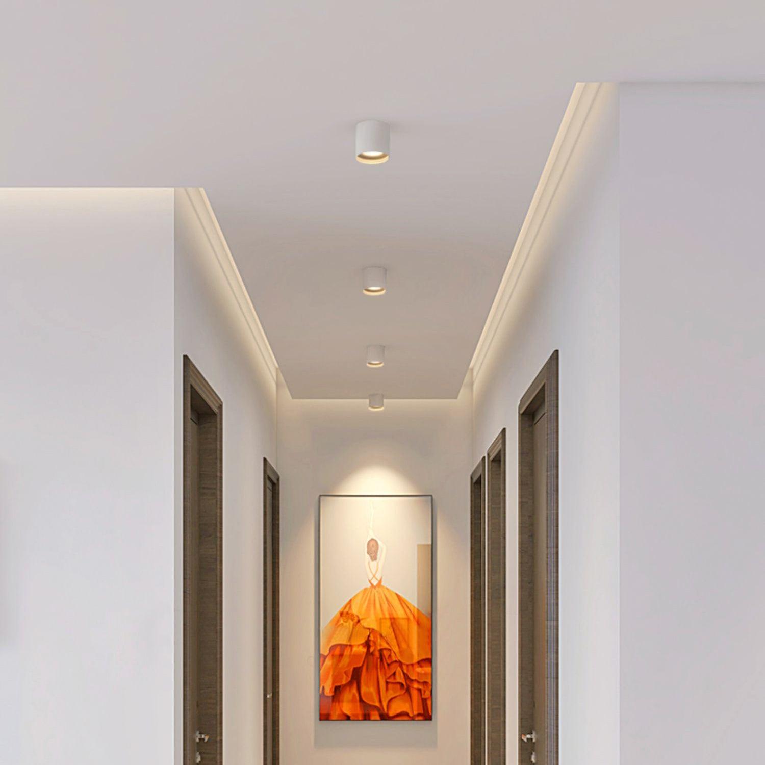 Studio Ceiling Light | Ormexis