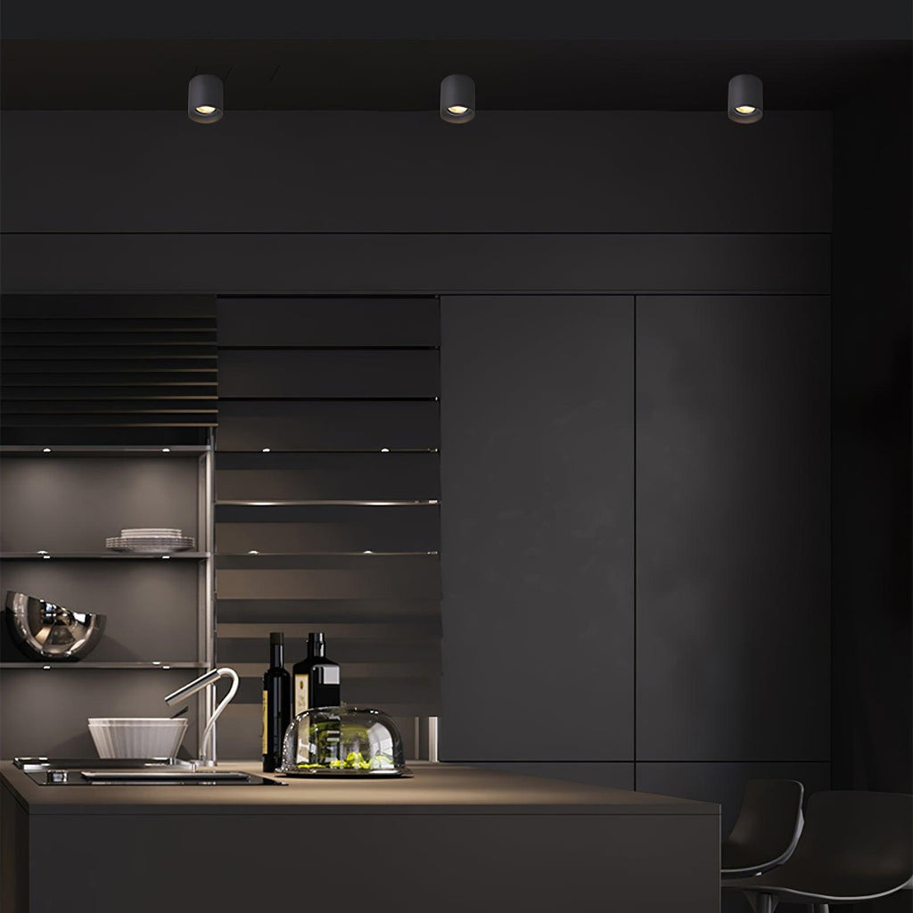 Vireon Modern Spot Ceiling Light | Ormexis