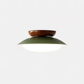 Retro Saucer Flush Mount Light | Ormexis