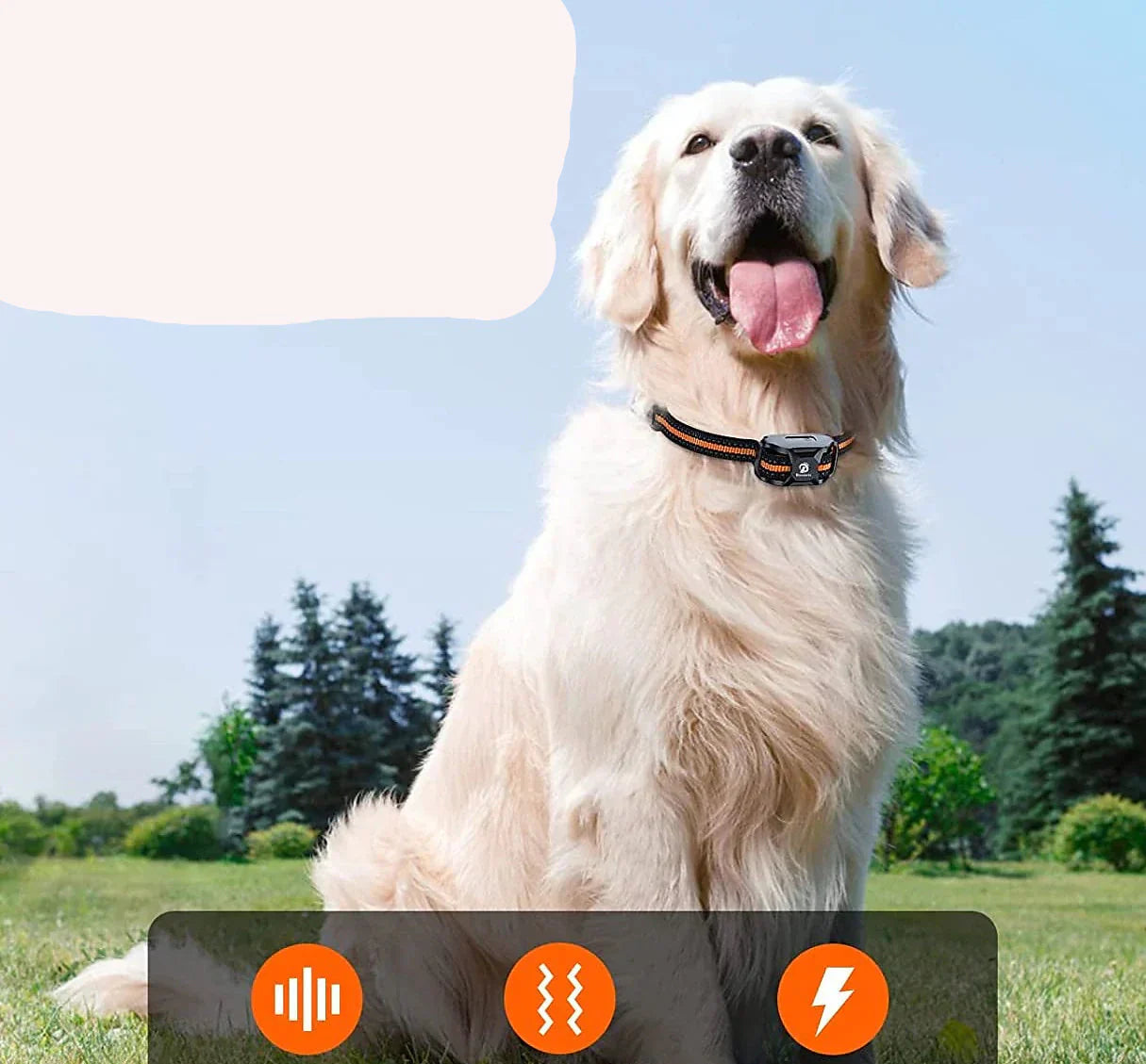 Collier d'entraînement pour chien étanche Pawfey avec portée de 1000 mètres et rechargeable