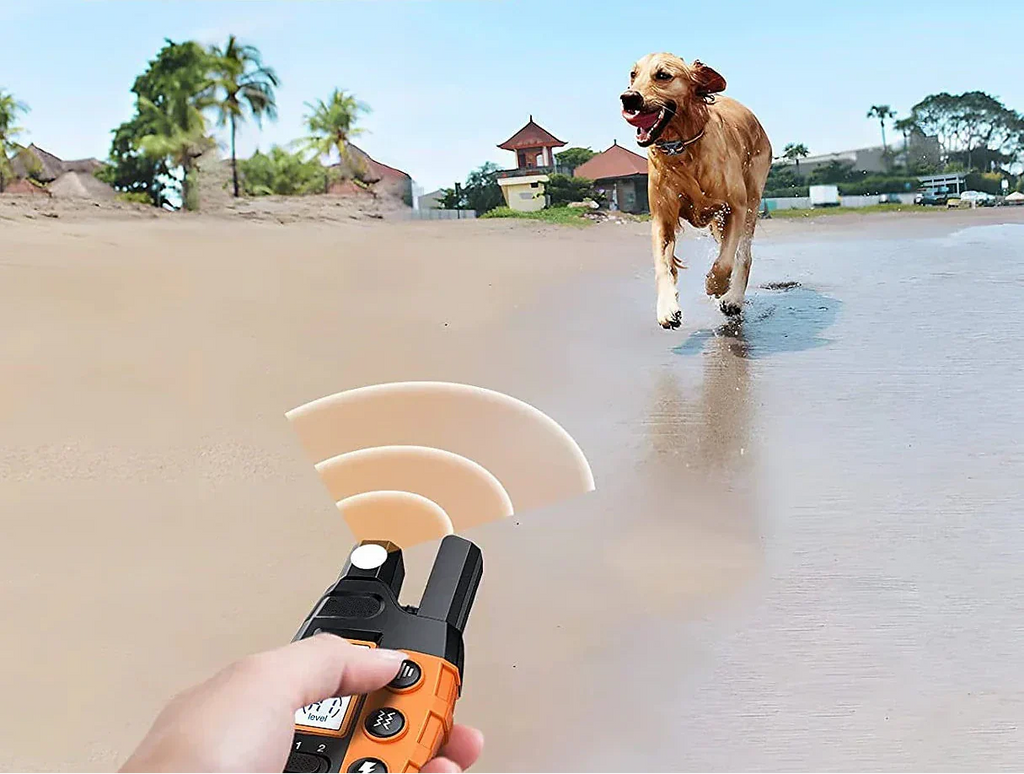 Collier d'entraînement pour chien étanche Pawfey avec portée de 1000 mètres et rechargeable