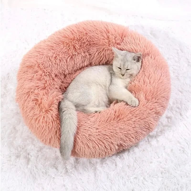 Pawfey Calming Bed For Dogs With Ergonomic Support And Soft Comfort