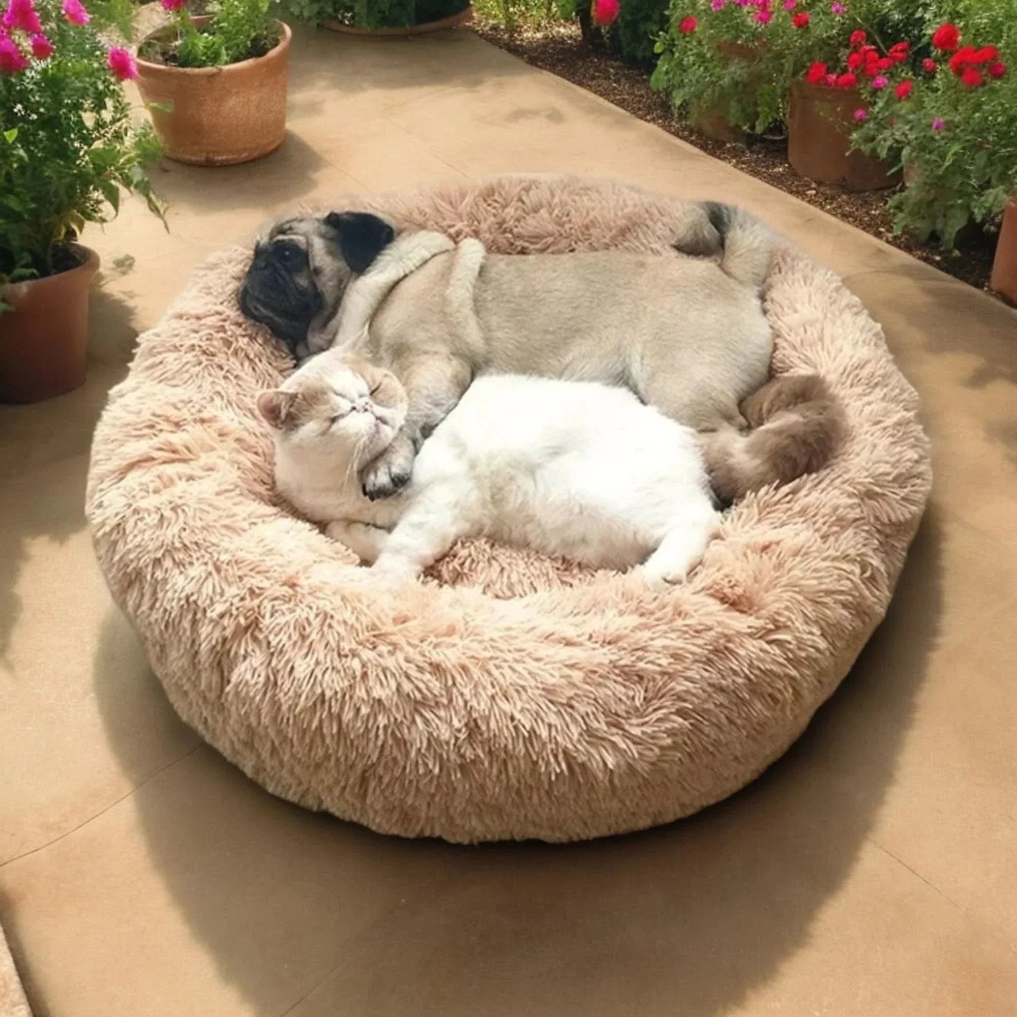 Pawfey Calming Bed For Dogs With Ergonomic Support And Soft Comfort