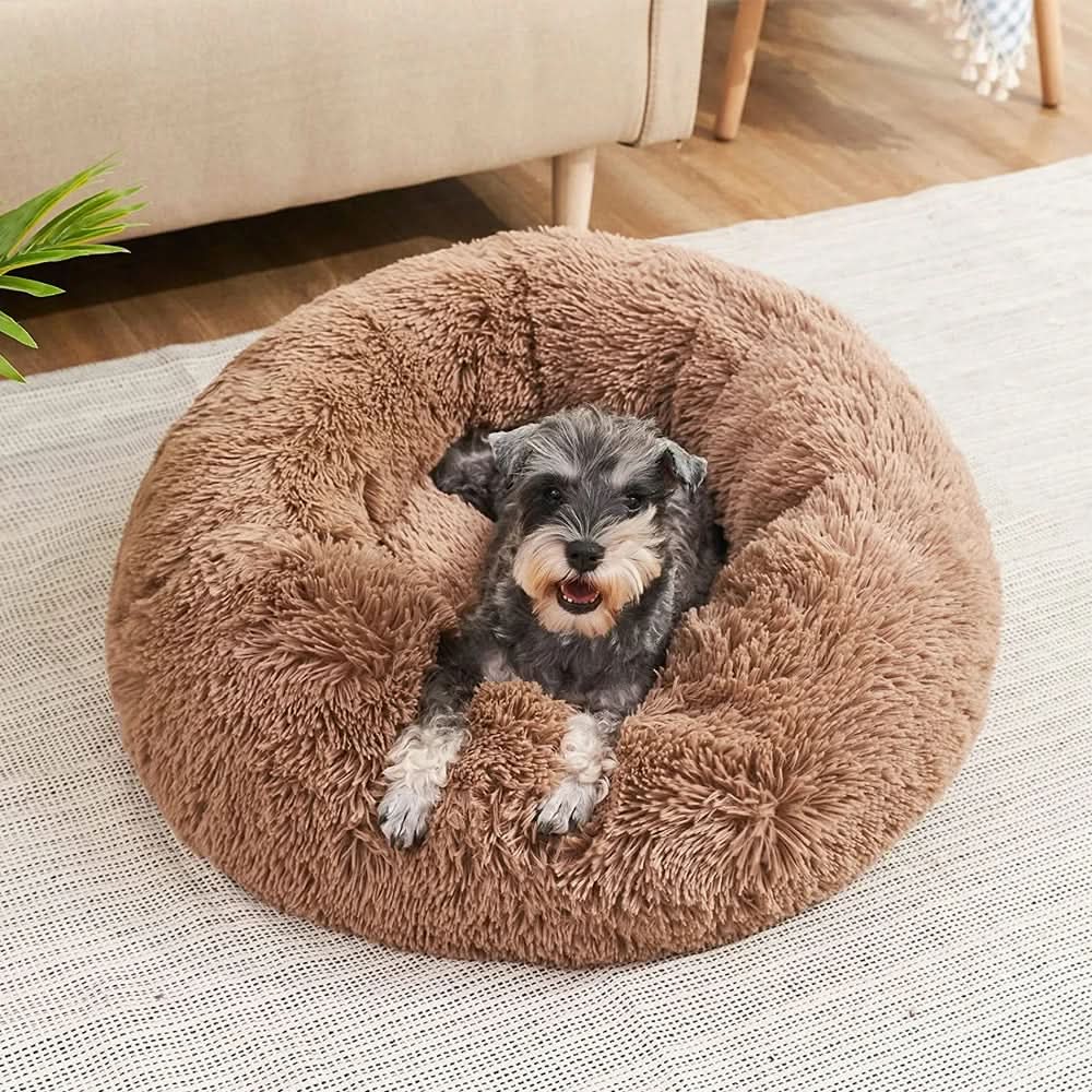 Pawfey Calming Bed For Dogs With Ergonomic Support And Soft Comfort