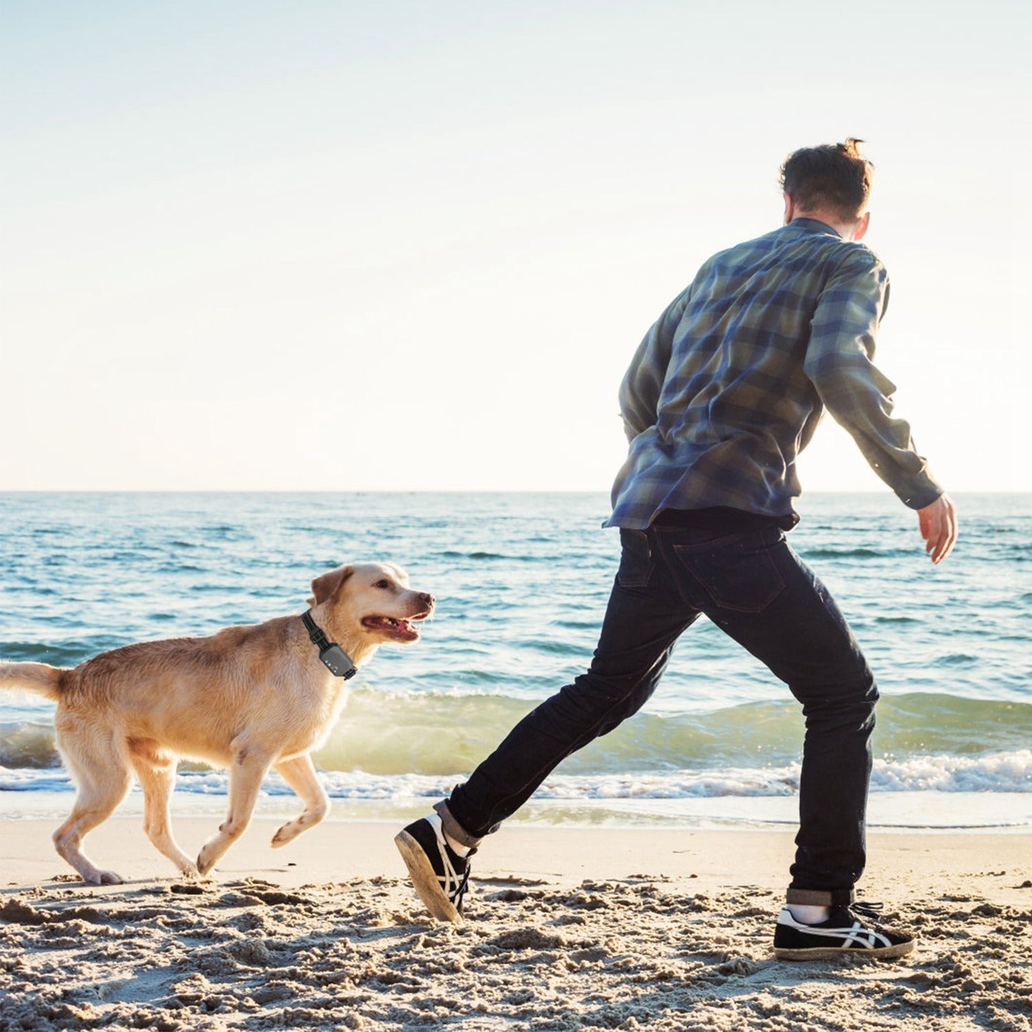 Pawfey GPS Boundary System For Dogs With Adjustable Range Outdoor