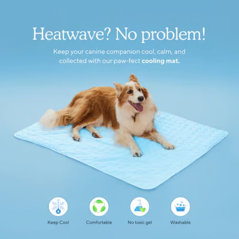 Chladicí podložka pro psy Pet Comfort s technologií bez gelu, snadno udržovatelný povrch