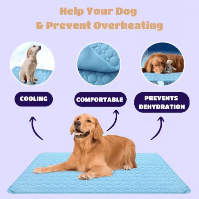 Chladicí podložka pro psy Pet Comfort s technologií bez gelu, snadno udržovatelný povrch