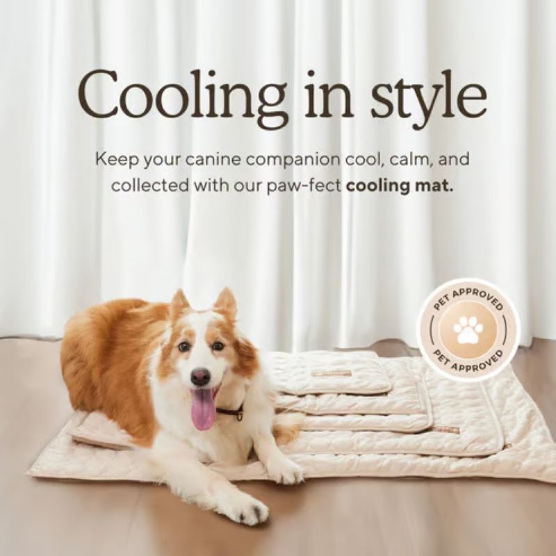 Chladicí podložka pro psy Pet Comfort s technologií bez gelu, snadno udržovatelný povrch