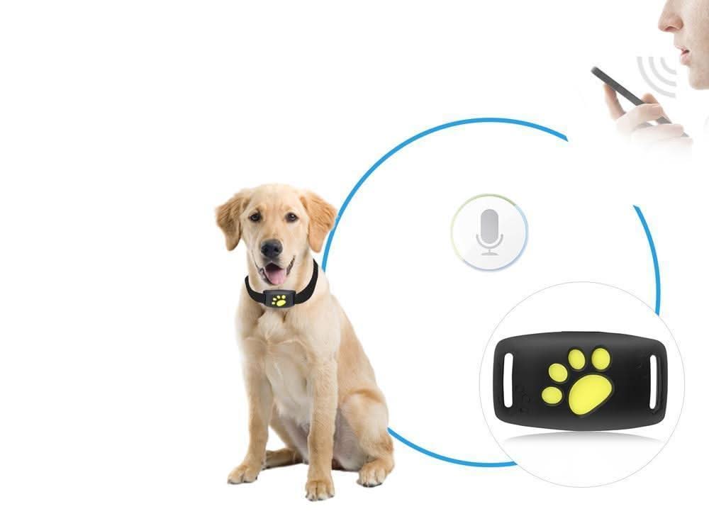 GPS obojek Pet Tracker Pro pro psy s aplikací pro sledování polohy a prodlouženou výdrží baterie