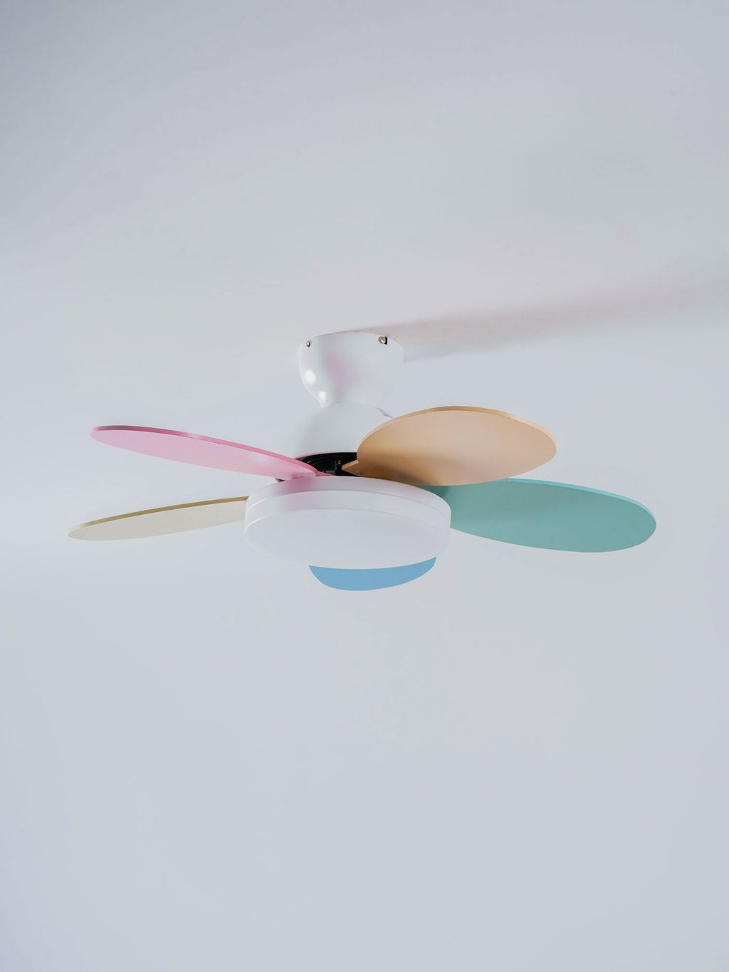Luce per ventilatore da soffitto con pale a petalo | Ormexis