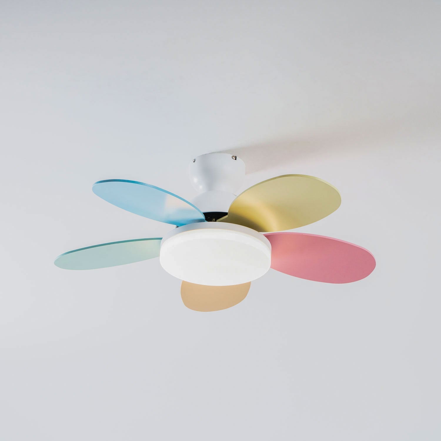 Luce per ventilatore da soffitto con pale a petalo | Ormexis