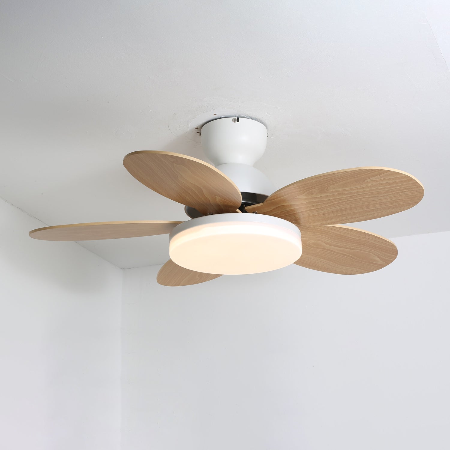 Luce per ventilatore da soffitto con pale a petalo | Ormexis