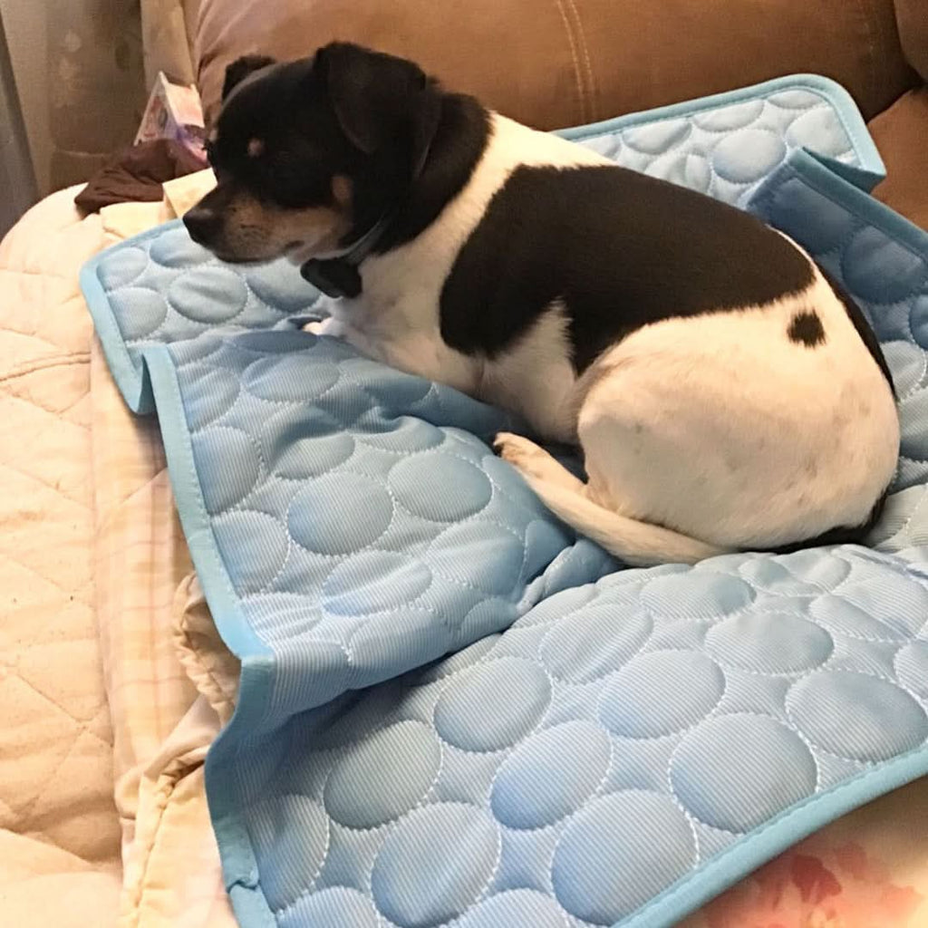 Hundkylningsmatta med issilke, bärbar lindring på varma dagar