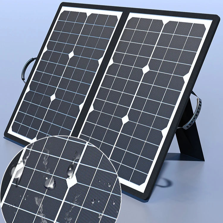 Pannello Solare Pieghevole ProCharge con MPPT e Ricarica USB-C per Energia da Esterno