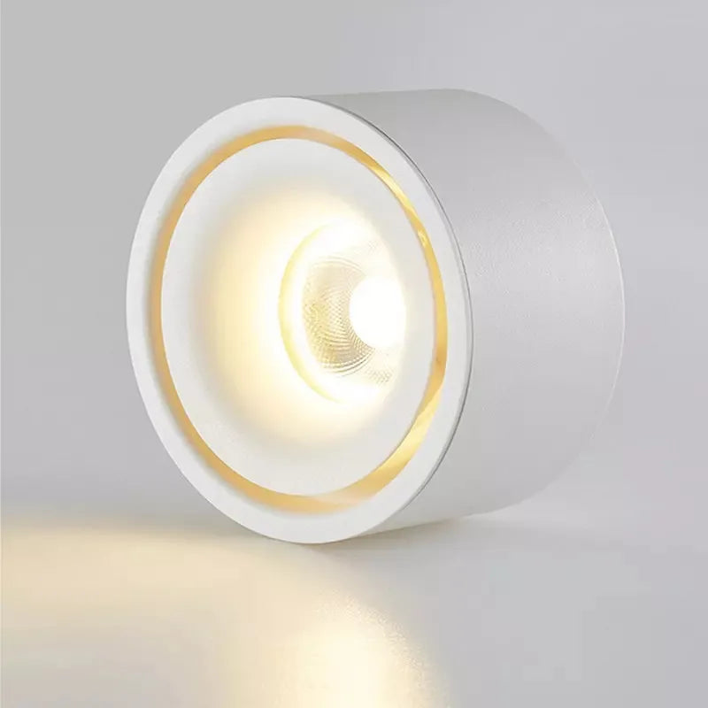 Matte Cylinder Ceiling Spot Light | Ormexis