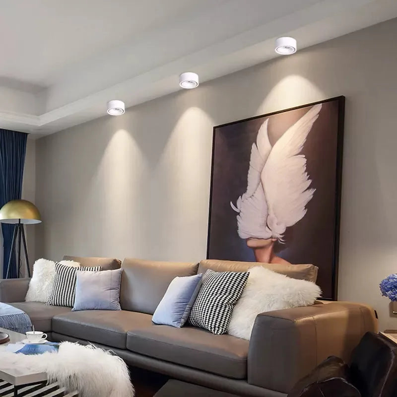 Matte Cylinder Ceiling Spot Light | Ormexis