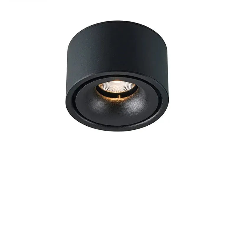 Matte Cylinder Ceiling Spot Light | Ormexis